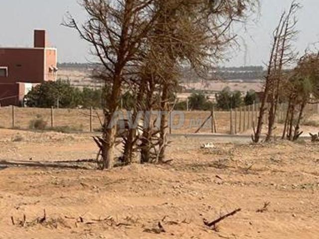 Propriété vente à Oued ed Dahab-Lagouira
