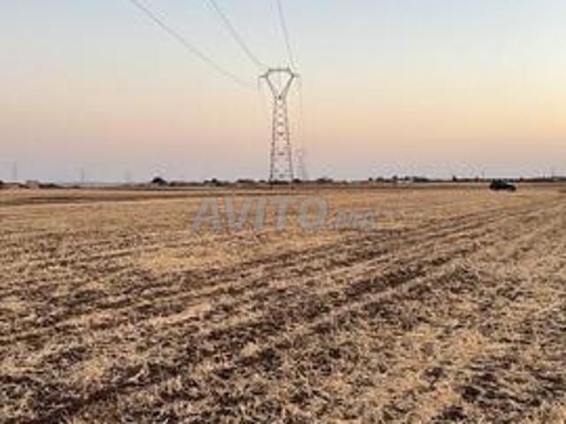 Propriété vente à Berrechid برشيد, Province de Berrechid إقليم برشيد