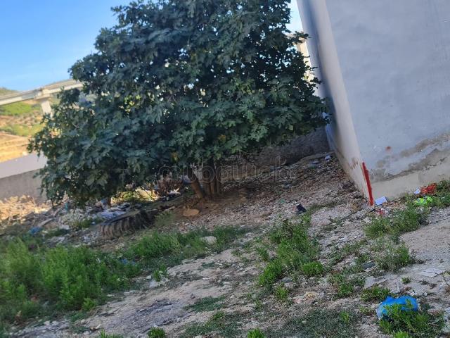 Terrain vente à El Fahs, Tanger-Tétouan