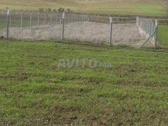 Propriété vente à Azrou