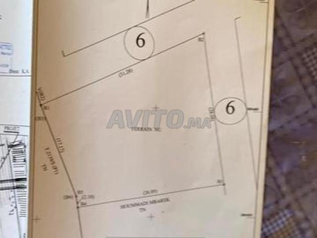 Propriété vente à Oued ed Dahab-Lagouira