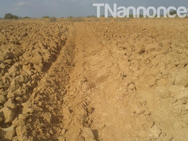 Terrain vente à Mahras