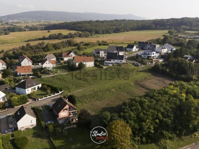 Terrain vente à Oberdorf-Spachbach, Collectivité européenne d'Alsace