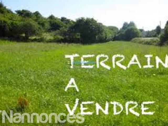 Terrain vente