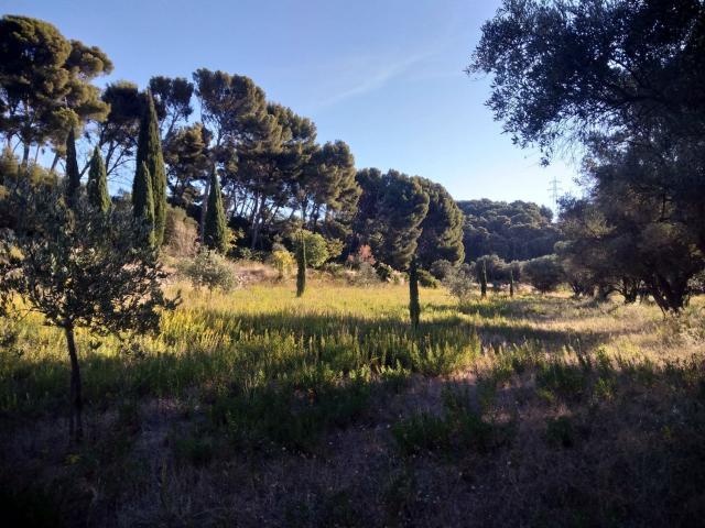 Terrain vente à Entre les Horts, Ollioules