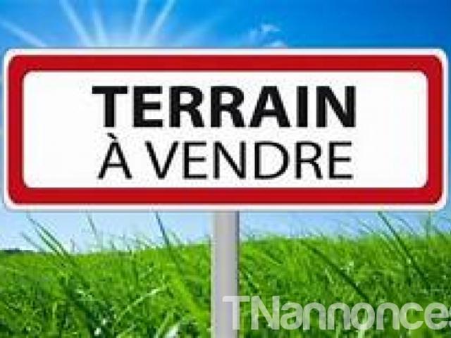 Terrain vente