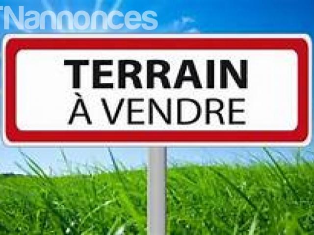 Terrain vente
