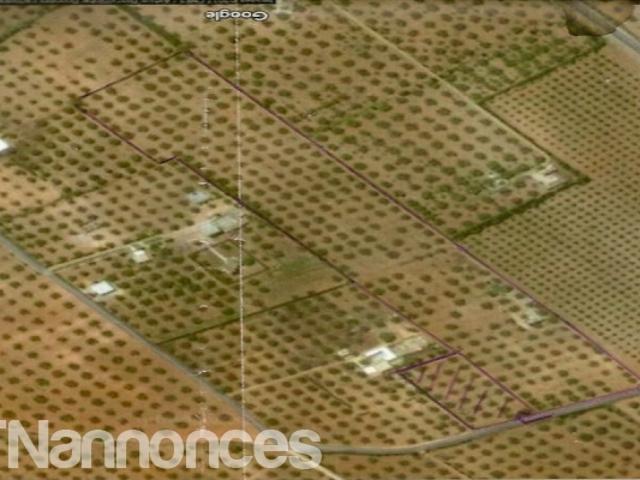 Terrain vente