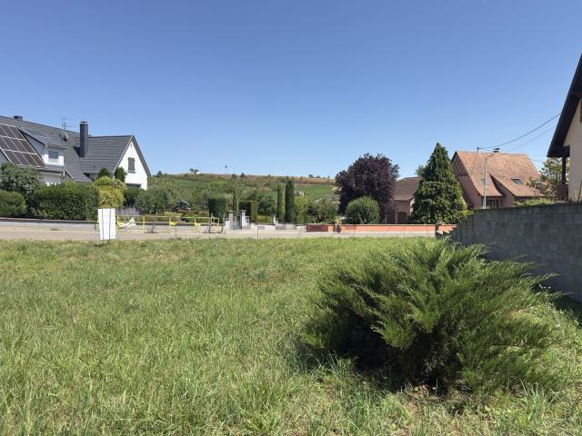 Terrain vente à Orschwihr, Collectivité européenne d'Alsace