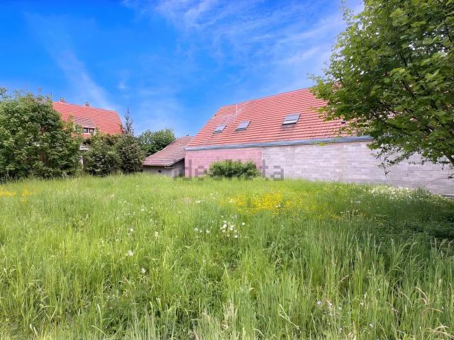 Terrain vente à Orschwihr, Collectivité européenne d'Alsace