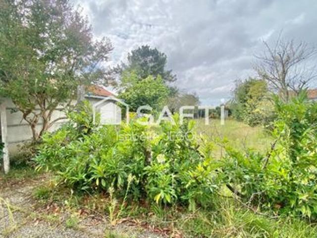 Villa vente à Arcachon, Gujan-mestras