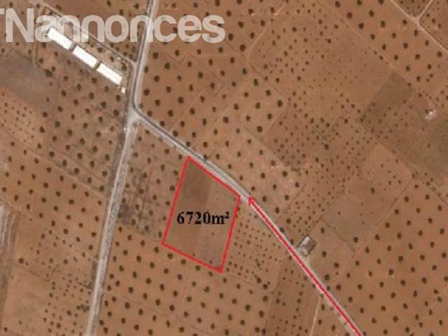 Terrain location