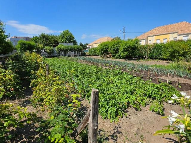 Terrain vente à Pau Nord, Pau