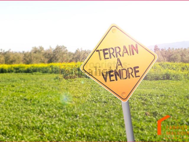 Terrain vente à Penin, Pas-de-Calais