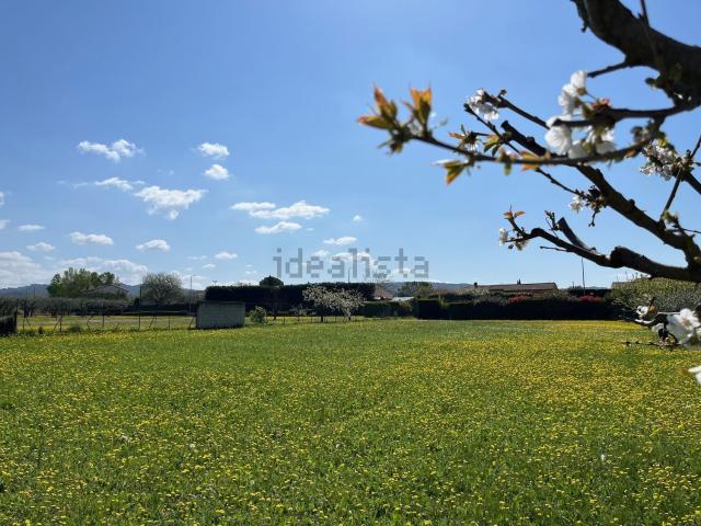 Terrain vente à Pernes-les-Fontaines, Vaucluse