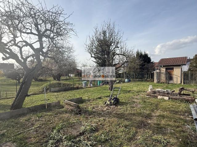 Terrain vente à Oberfeld, Petit-Landau