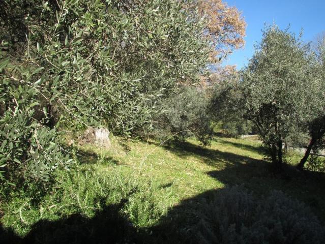 Terrain vente à Peyruis, Alpes-de-Haute-Provence