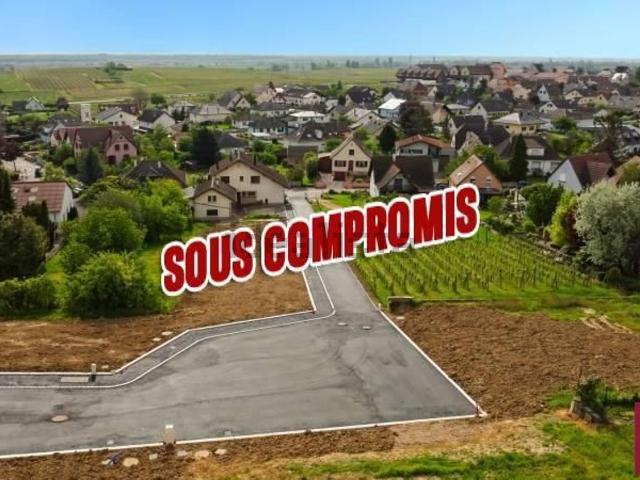 Terrain vente à Pfaffenheim, Collectivité européenne d'Alsace