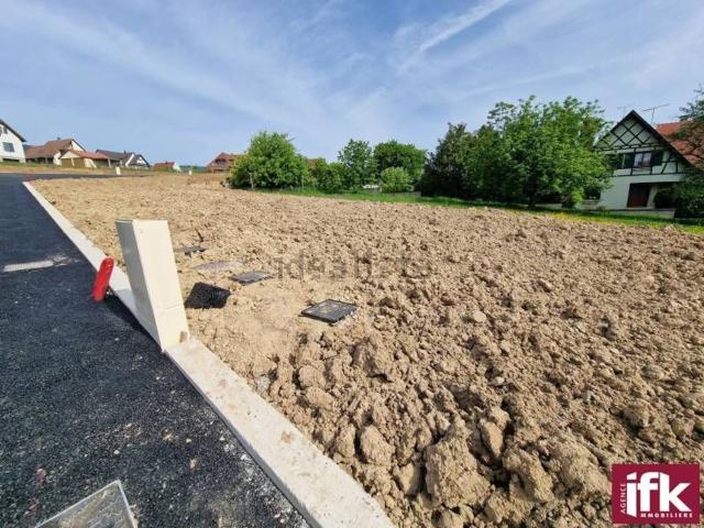 Terrain vente à Pfaffenheim, Collectivité européenne d'Alsace