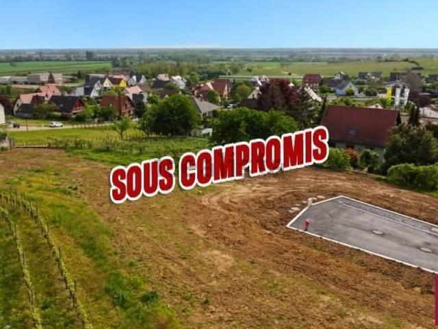 Terrain vente à Pfaffenheim, Collectivité européenne d'Alsace