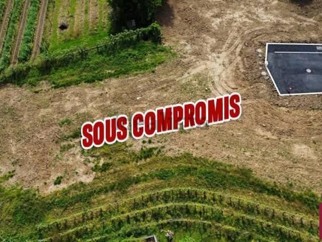 Terrain vente à Pfaffenheim, Collectivité européenne d'Alsace