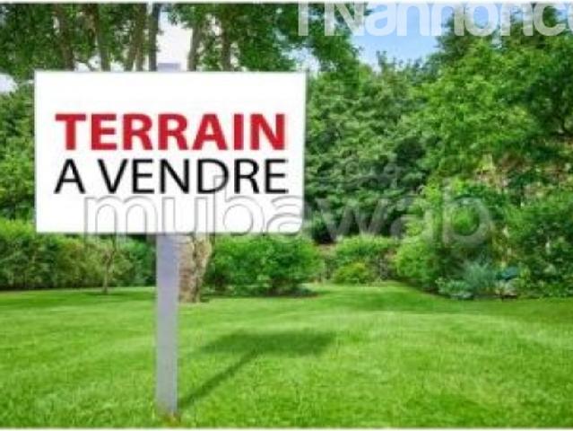 Terrain vente