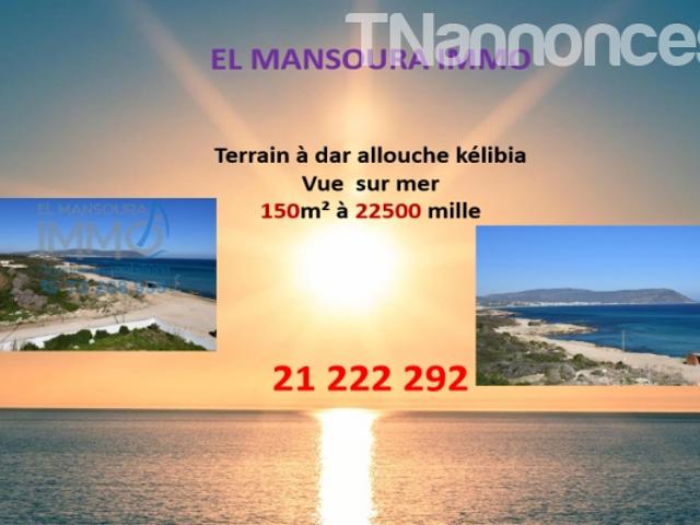 Terrain vente