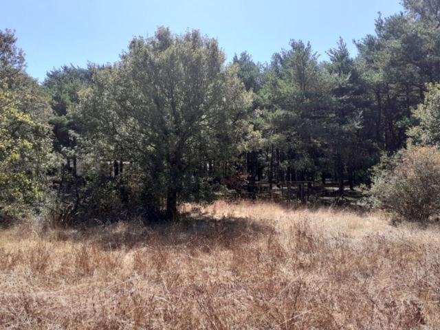 Terrain vente à Plan-d'Aups-Sainte-Baume, Var