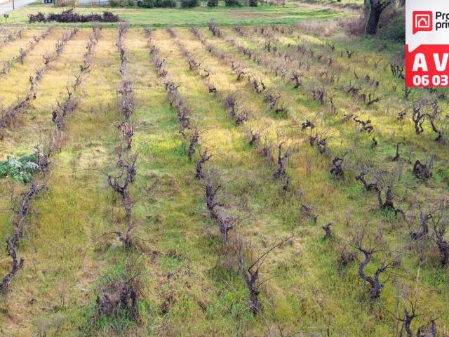 Terrain vente à Carpentras, Sainte-cécile-les-vignes