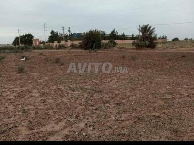 Propriété vente à Sidi Bidi, Oued ed Dahab-Lagouira