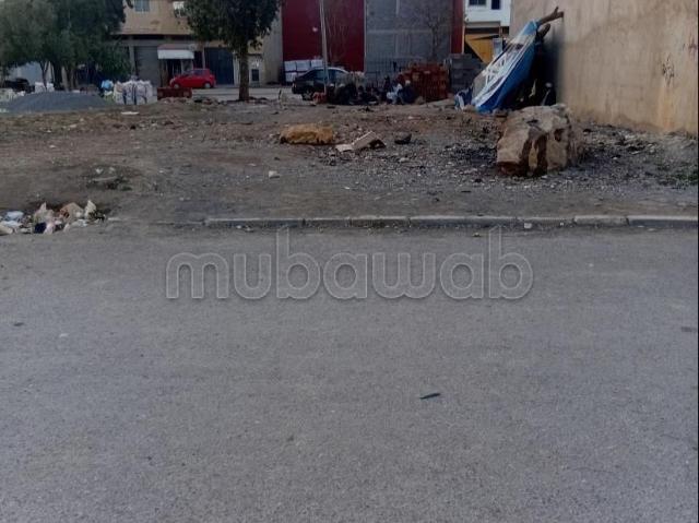 Terrain vente à Aïn El Aouda