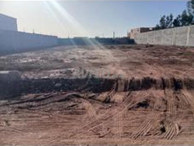 Propriété vente à Oued ed Dahab-Lagouira