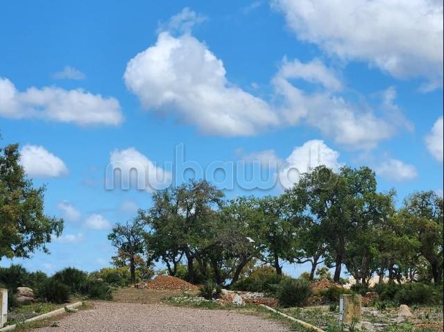 Terrain vente à Slimane, Gharb-Chrarda-Beni Hssen