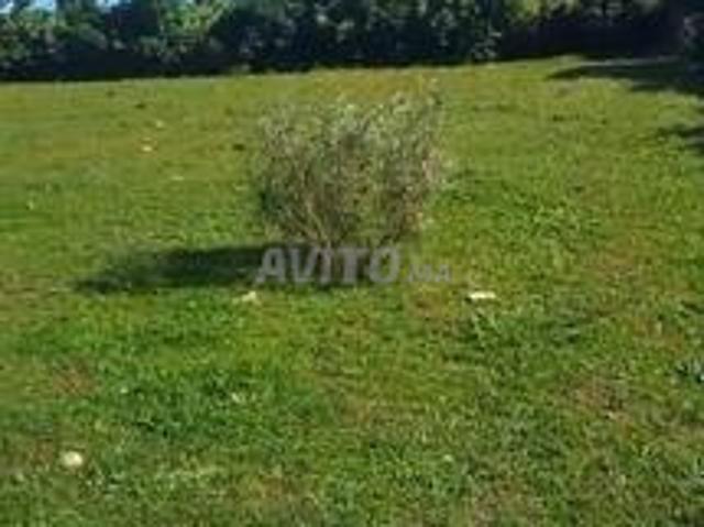 Propriété vente à El Ma, Gharb-Chrarda-Beni Hssen