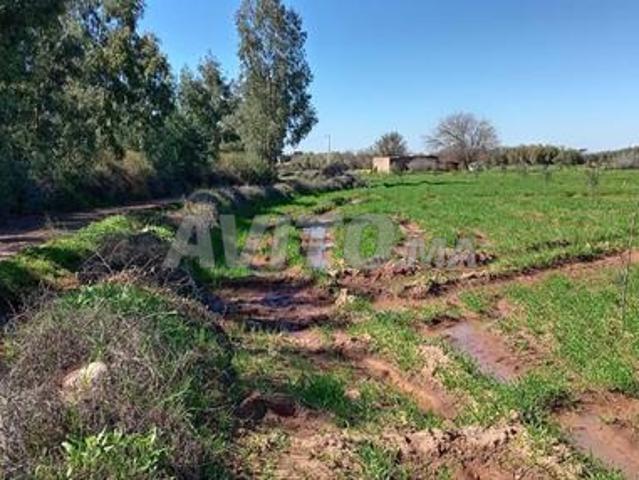 Propriété vente à Fès