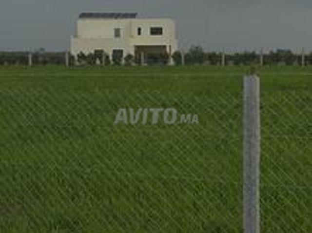 Propriété vente à Berrechid, Gharb-Chrarda-Beni Hssen