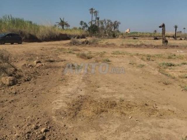 Propriété vente à Ouarzazate