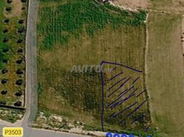 Propriété vente à Khouribga ⵅⵯⵔⵉⴱⴳⴰ خريبكة, Province de Khouribga إقليم خريبكة