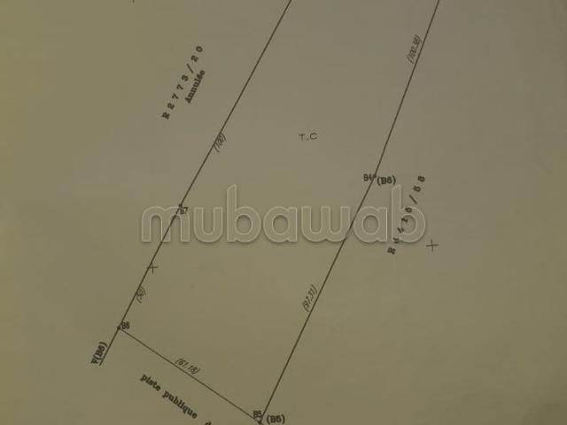 Terrain vente