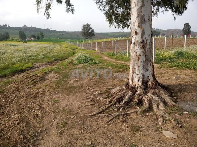 Propriété vente à Slimane, Gharb-Chrarda-Beni Hssen