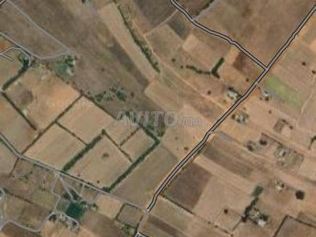 Propriété vente à El Ma, Gharb-Chrarda-Beni Hssen