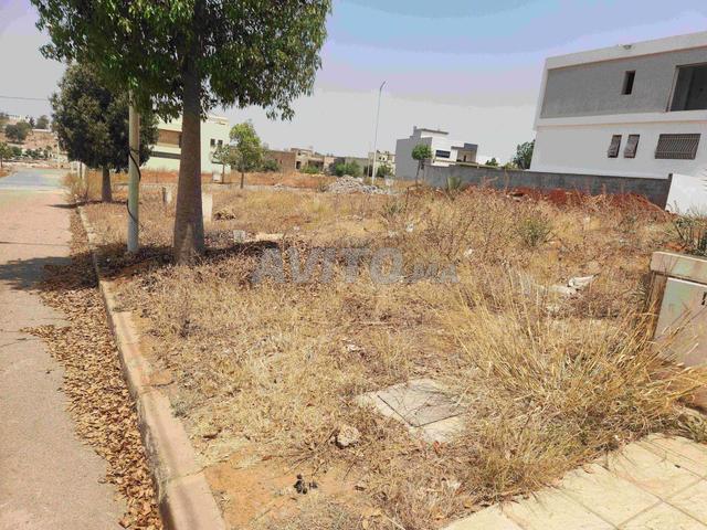 Propriété vente à Tamesna