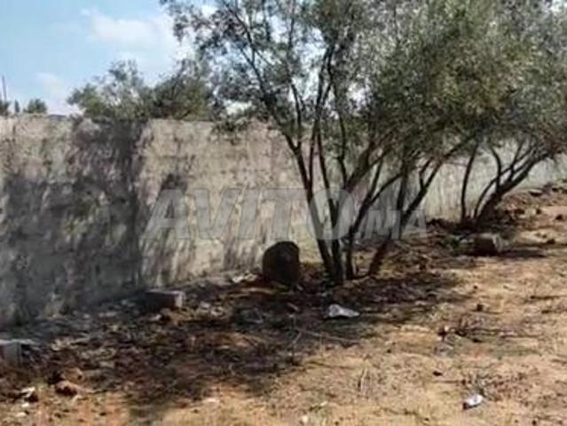 Propriété vente à Al Haouz, L'Oriental
