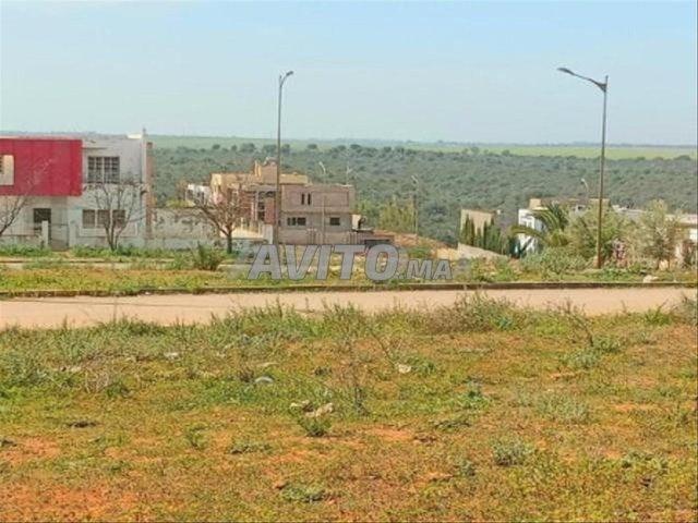 Propriété vente à Tamesna