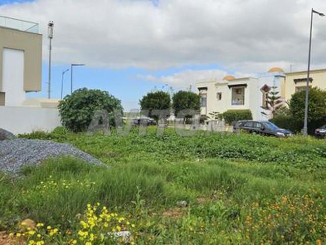 Propriété vente à Témara