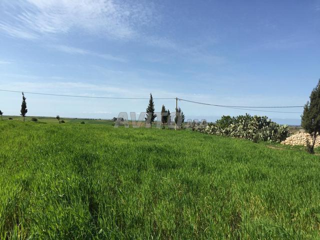 Propriété vente à El Ma, Gharb-Chrarda-Beni Hssen