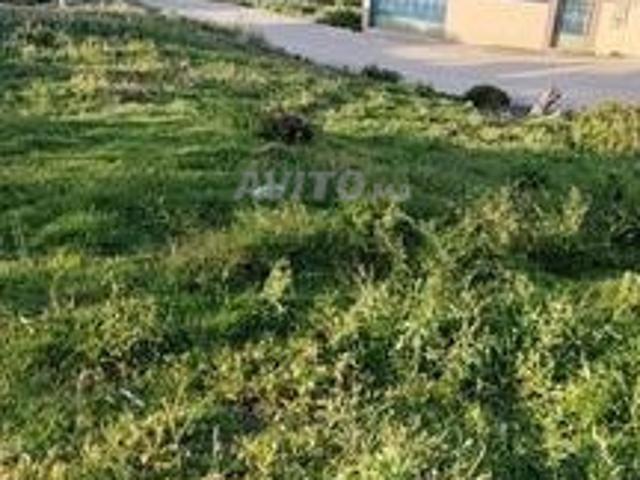 Propriété vente à El Fahs, Tanger-Tétouan
