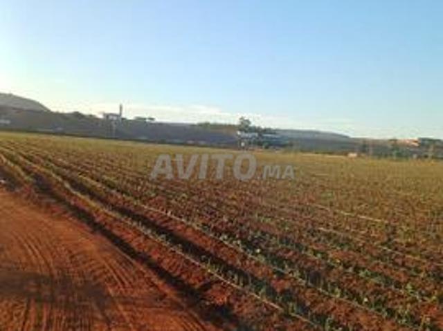 Propriété vente à El Ma, Gharb-Chrarda-Beni Hssen