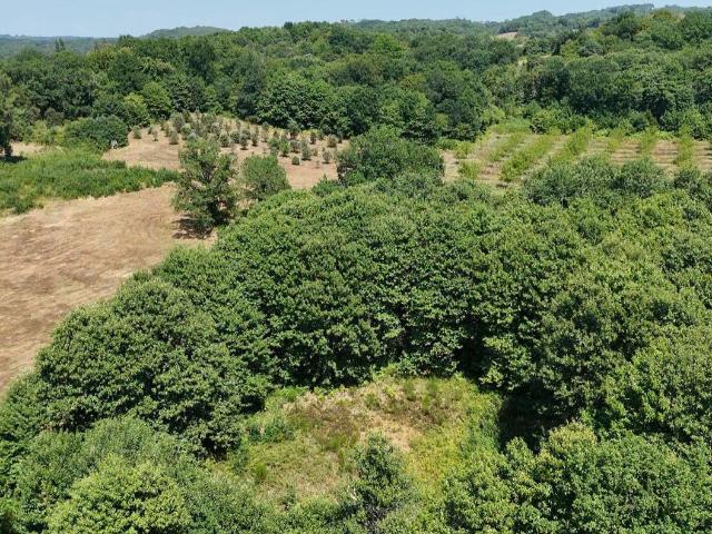 Terrain vente à Sarlat-la-Canéda, Prats-de-carlux