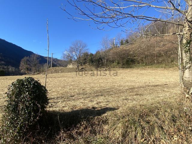 Terrain vente à Prats-de-Mollo-la-Preste, Pyrénées-Orientales